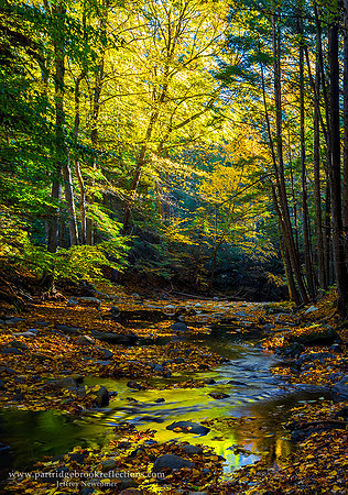 161010BroadBrookAutumnGuiolfordVt