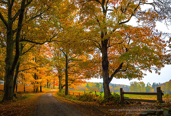 161021JacksonHillAutumnChesterfieldNH