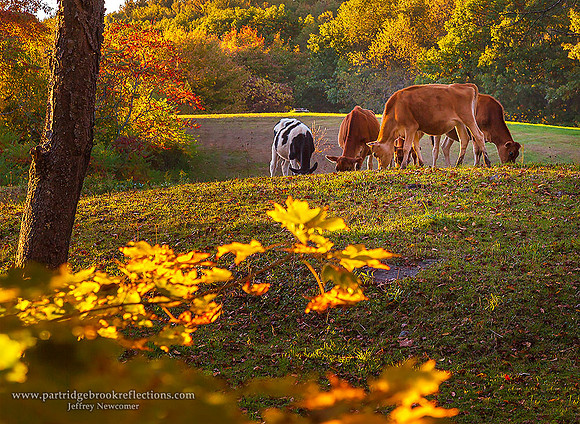 Sunset Glimpse, Chesterfield, NH