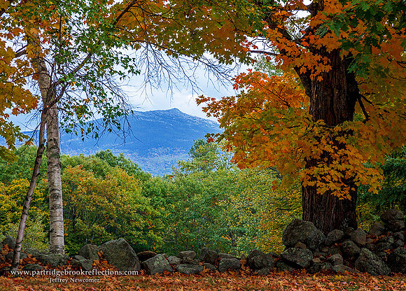 Autumn Window, Marlborough, NH