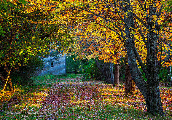 Maple Path, Chesterfield, NH