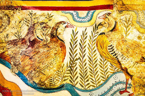 240913PartridgeFrescoHeraklionArchaeologicalMuseumCreteGr
