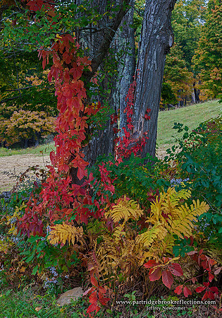 Climbers, Pomfret, Vt