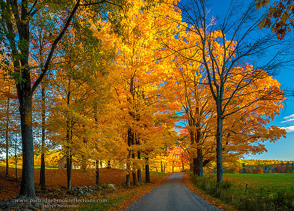 161019GoldenPeakChesterfieldNH