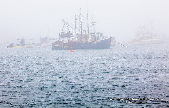 Gray Ghosts, Rye Harbor, NH
