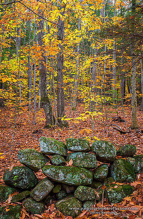 161102LostWallChesterfieldNH
