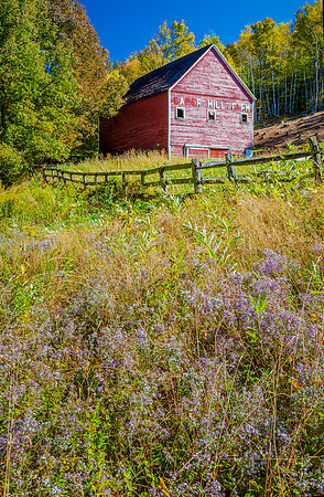 Caper Hill Farm, Reading, Vt