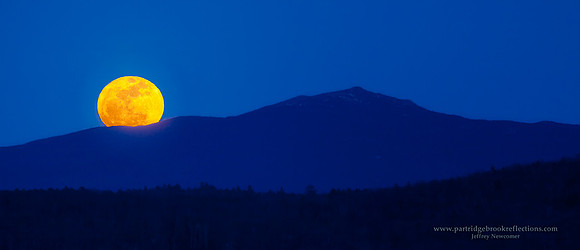 110319Peeking2SpoffordNH