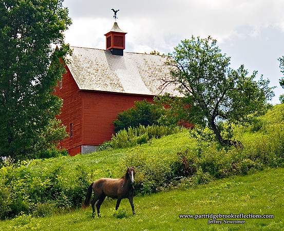 050723SummerHillsideKeeneNH