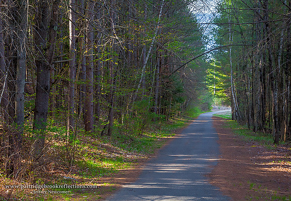 160510AppelWayTrailWheelockParkKeeneNH