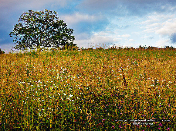 100701RidgeInEveningWalpoleNH