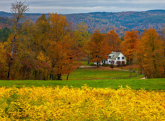 Yellow Pasture, Halifax, Vt