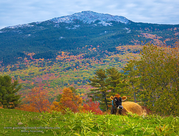 161016MonadnockRestTroyNH