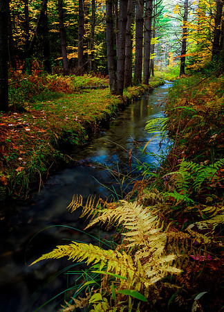Autumn Race, Brattleboro, VT