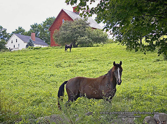 050723SummerPastureKeene,NH