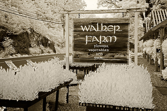 Walker farm, Dummerston VT