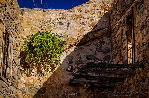 240914HangingGreenSpinalongaEloundaGr