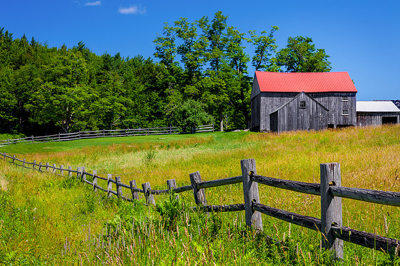 Summer Fence