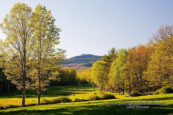 080513SpringLightMonadnockJaffreyNH