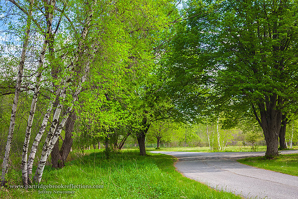 160523GreenlawnCemeteryPathKeeneNH
