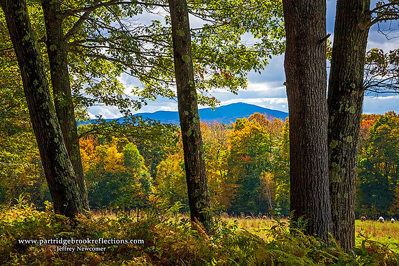 October Light, Marlborough, NH