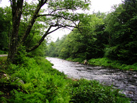 040728AshuelotRiverSurry2