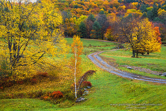 161021BackPastureAutumnChesterfieldNH
