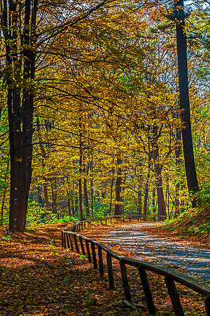Cemetery Turn, Brattleboro, Vt