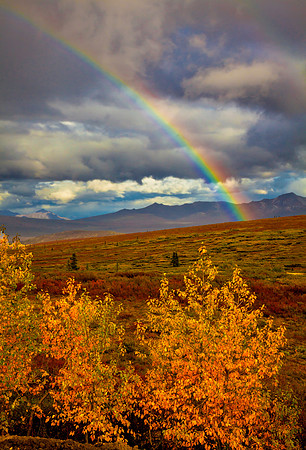 Denali Rainbow