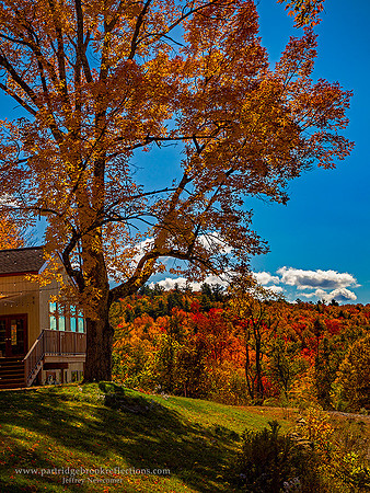 221009AppleHillAfternoonNelsonNH