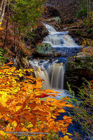 Upper Falls Gold, Doane's Fall's, Royalston, Ma