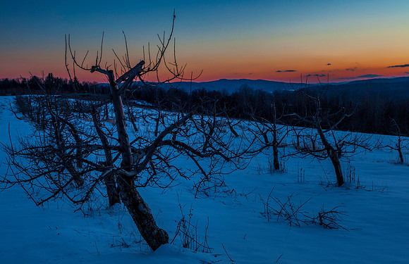 Spring Promise, Walpole, NH