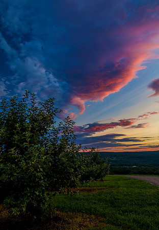 Orchard Sunset, Walpole, NH