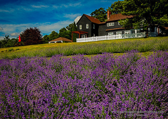 240626BonitaHomeWalpoleNH