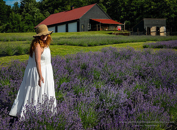 240626LavenderStrollWalp[oleNH