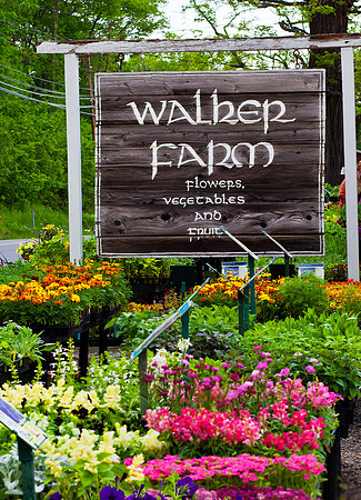 Walker Farm, Dummerston, VT