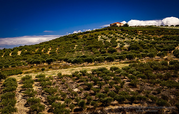 240913OliveFarmHillArchanesHeraklionCreteGr