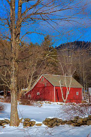 January Light, Townsend, Vt