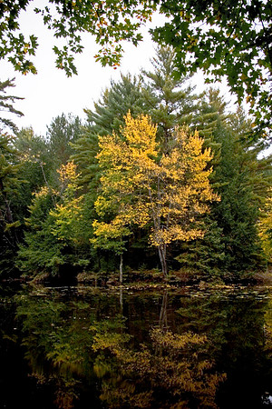051010SurryPond