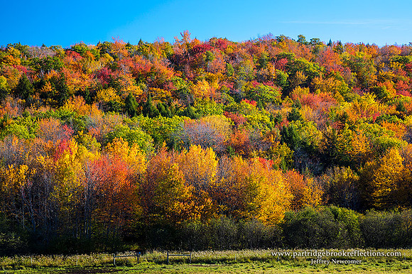 161012OctoberHillMarlboroughNH