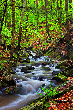 Spring Brook, East-West Road, Dummerston, Vt