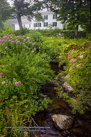 090814PastureStreamKeeneNH