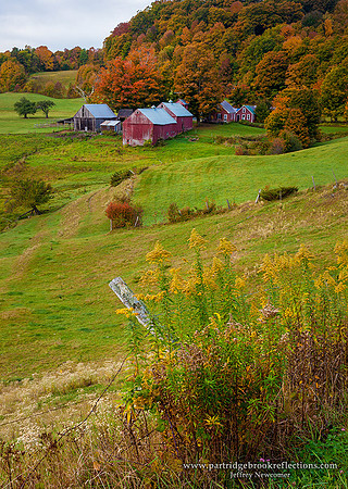 Pasture Line, Reading, Vt