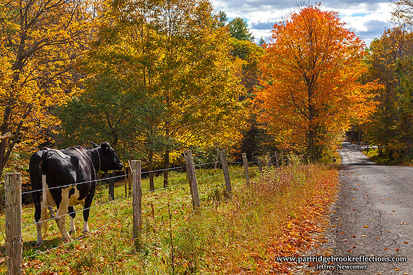 Road Watch, Chesterfield, NH