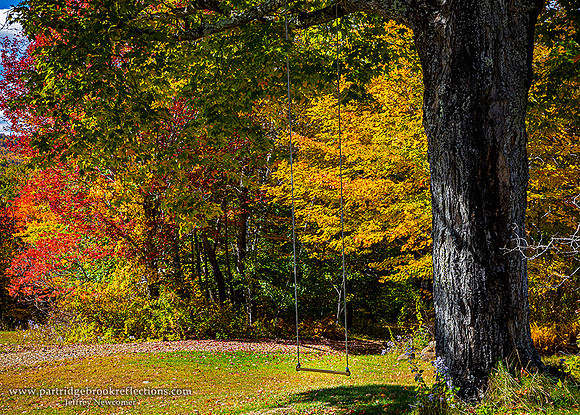 221009SwingAppleHillNelson