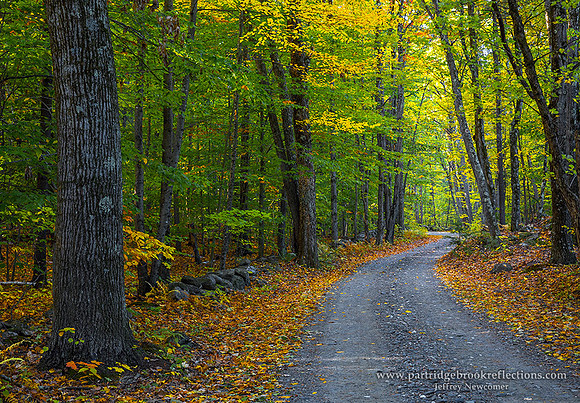 161015AutumnShortcutChesterfieldNH