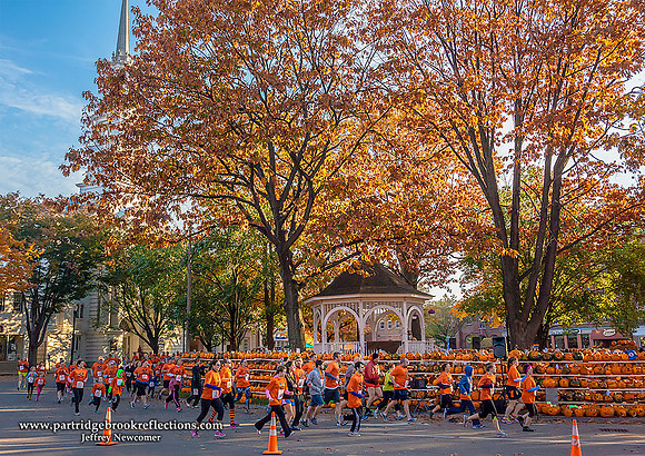 Pumpkin Race, Keene, NH