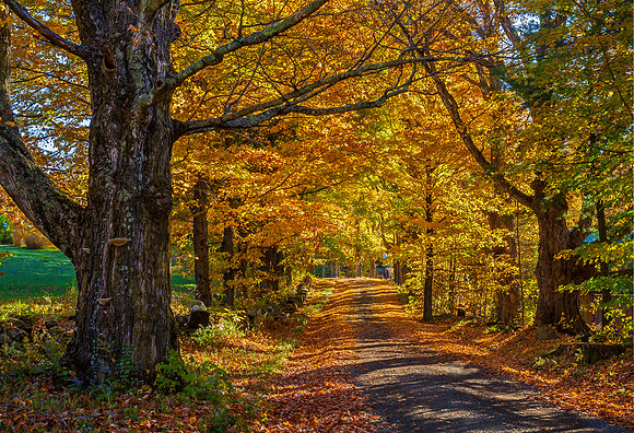 Cemetery Hill Road Color, Guilford, Vt