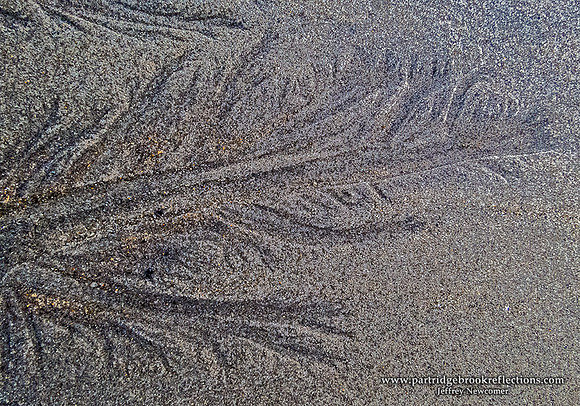 Drained, Rye Beach, NH