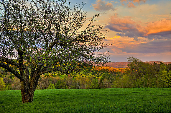 Spring Sunset, Dummerston, vt